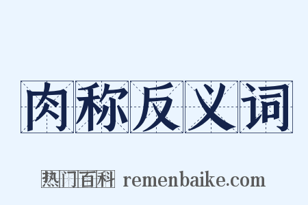肉称反义词是什么意思的图片
